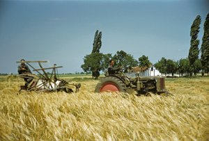  av Erich Lessing