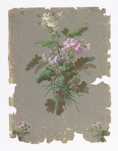 Sidovägg av Ericson and Weiss