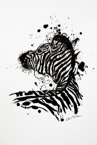 Vild zebra – bläckstänk