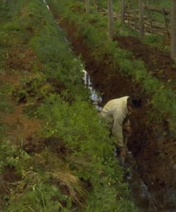 Muddring av ett dike av Erik Theodor Werenskiold