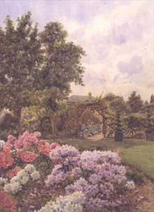 Rhododendron av Ernest Arthur Rowe