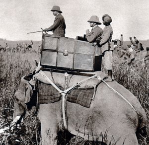 George V 1911 jakt i Nepal (1911)