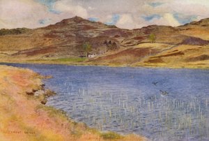 Loch Howie eller Wee (färglitografi)