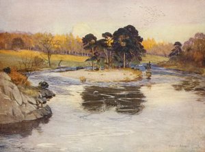 Granön nedanför Linn (färglitografi)