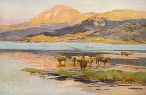 Huvudet av Loch Quoich, kväll (färglitografi)