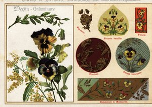 Bilder av penséer och mimosa från manuskript och deras tillämpning av Ernest Guillot
