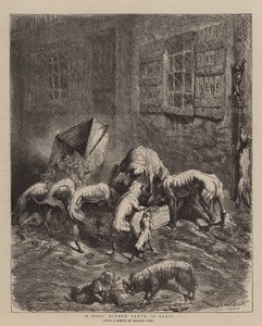 En middag för hundar i Paris