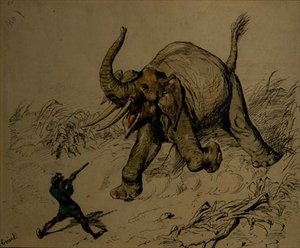Elephant Shoot (penna och bläck, akvarell på papper) av Ernest Henry Griset