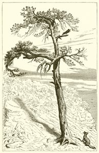 Räven och besättningen av Ernest Henry Griset