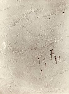 Blick ner från ballongen över platån mot "Discovery" (1901). Från album av Sir Ernest Henry Shackleton med titeln National Antarctic Expedition (1901-1903) av Ernest Henry Shackleton