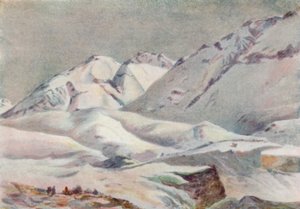 Anderna (färg litho)