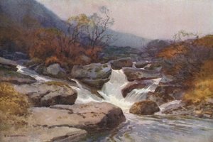 A Dartmoor Stream (färg litho) av Ernest William Haslehust