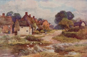 "Beggarly Broom" (färg litho) av Ernest William Haslehust