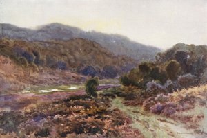 Av Broomy Water (färg litho) av Ernest William Haslehust