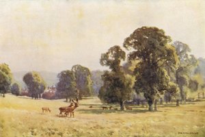 Cobham Park (färg litho) av Ernest William Haslehust