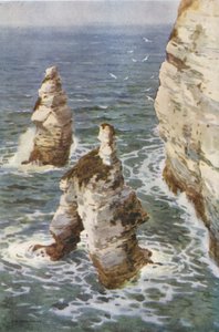 Flamborough: King and Queen Rocks (färg litho) av Ernest William Haslehust
