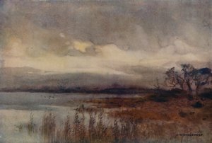 Hickling Broad (färg litho) av Ernest William Haslehust
