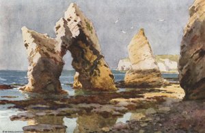 I Freshwater Bay (färg litho) av Ernest William Haslehust