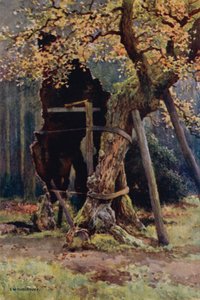 Robin Hoods skafferi (litho i färg)