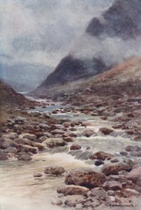 Fat Cleave (färg litho) av Ernest William Haslehust
