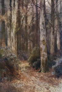 "Katedralen" (färg litho)