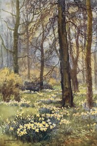 Vildmarken på våren (färg litho) av Ernest William Haslehust