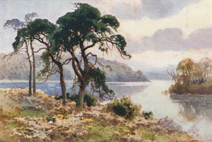 Virginia Water (färg litho) av Ernest William Haslehust