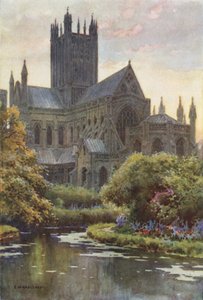 Wells Cathedral from the Springs (färg litho) av Ernest William Haslehust