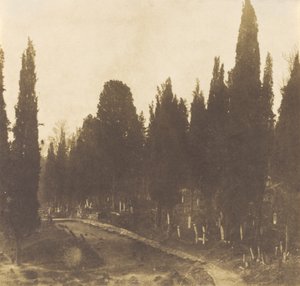 Turkiet: Kyrkogården i Scutari,1852 (foto) av Ernest de Caranza