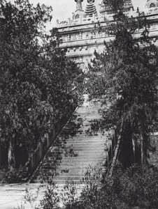 Peking, Si shan, Pi yun sze, Chihli, Västra bergen nära Peking, Trappan till Marmorpagoden (svartvitt foto) av Ernst Boerschmann