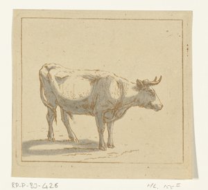Oxen står, vänd åt höger