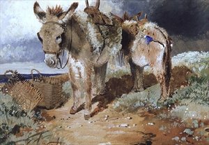 Åsnor, 1855