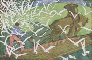 Fåglar som följer en plog av Ethel Spowers