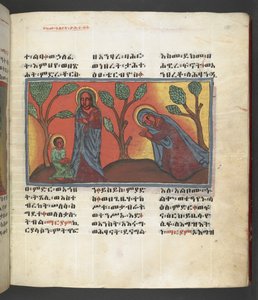 Eller. 607 f174r, Scen från Jungfru Marias liv, från 