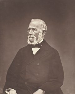 Henri Martin, ca. 1876. av Etienne Carjat