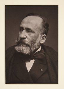 Porträtt av Pierre Puvis de Chavannes (1824-1898) av Etienne Carjat