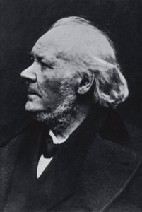 Illustratören Honore Daumier av Etienne Carjat