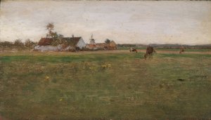 kvällslandskap