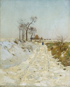 ravin på vintern