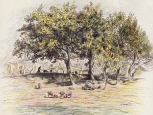 Friar Juniper skär av foten på en gris för att ge den till en sjuk man (färglitografi) av Eugene (after) Burnand