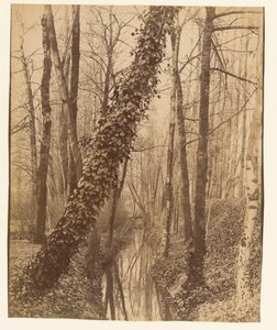  av Eugène Atget