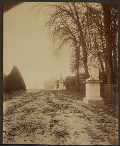 Versailles, parken (allé i parken i Versailles) av Eugène Atget