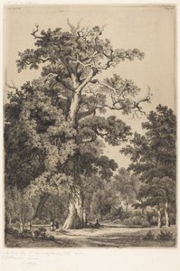 Gammal ek i Bois de Boulogne av Eugene Bléry
