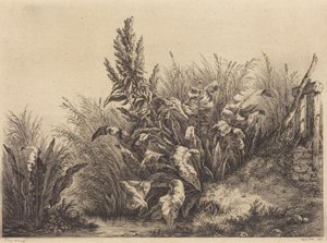 Vattenskräppa av Eugene Bléry