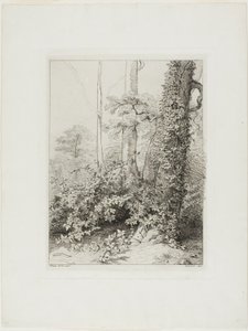 Bramble och murgröna av Eugene Bléry