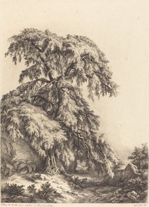Enbärsträd, 1840.