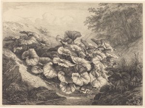 Stor hölfot, 1843.