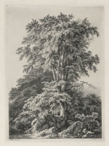 Studier ritade och graverade efter naturen: The Beach, Fontainbleau..., 1840. av Eugene Bléry