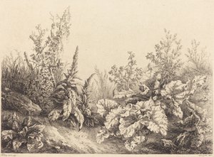 Studie av en kardborre av Eugene Bléry