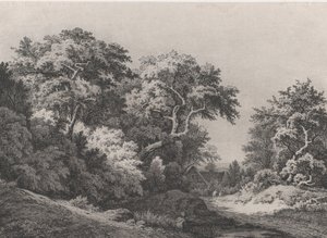 The Edge of the Woods, nära Rambouillet, 1860. av Eugene Bléry